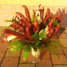 megavirzinkocabajkac-kvetinarstvi-brno